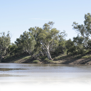 Fluvial Processes of Cooper Creek in South Australia